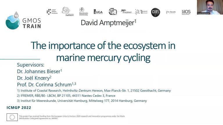 Importance of bioaccumulation in marine mercury cycling